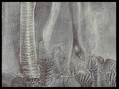 necroid1
