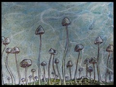 _totholzlandschaft