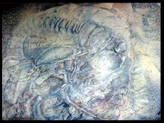 golem-fantabolicus