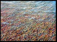 alb-by-arkis-feb-16-webversion