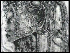 anima