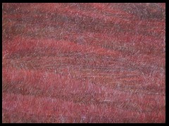 roteheidebyarkis1015webversion