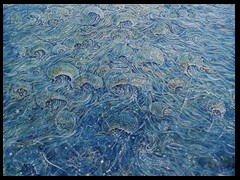 superorganismus-quallenmeer-by-arkis-webversion-07-17