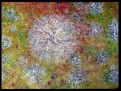 hain-in-vogelperspektive-by-arkis-webv-04-2021