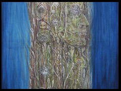 pan-by-arkis-03-20-webv