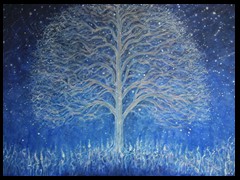 sternen-saat-baum-webv-by-arkis-07-2021