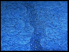 ur-meer-180dpi-webv-07-2021-y-arkis