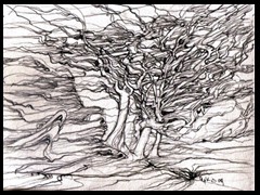 trees