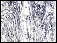 venus