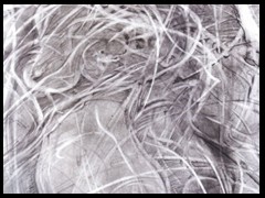 _lillis_sextasebyarkis2011