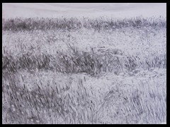 sommerfeldgraphitdrawingbyarkisjuni2014