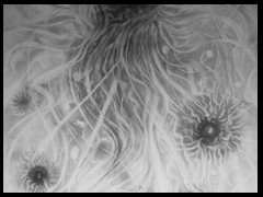 die-dunkle-see-binah-by-arkis-janno-2020