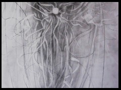 sternenhuelse-ii-webv-by-arkis-06-2020