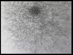 sternenbluete-graphitdrawing-by-arkis-webv-08-2021