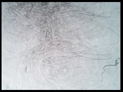 trance-des-schamanen-drawing-y-arkis-05-2021