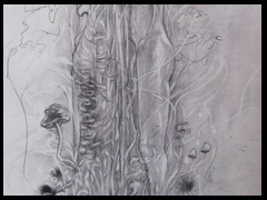 tree-of-life-drawing-graphit-by-arkis-webv-10-2020