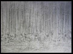 waldrand-graphitdrawing-by-arkis-05-2021-webv